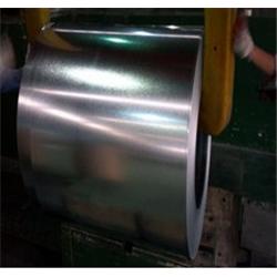 Galvanized Steel coil (Z100)