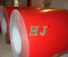 Prepainted Steel Coil (01)