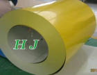 Prepainted Steel Coil (02)