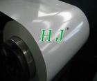 Prepainted Steel Coil (03)
