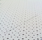 Perforated Gypsum Board (GB04)