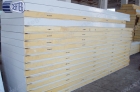 Sandwich Panel (c10)