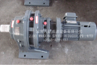 Cycloidal speed reducer (BWD-XWED)