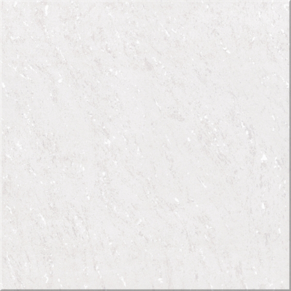 Polished Porcelain Floor Tile