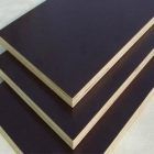 Film Faced Plywood (FFP)