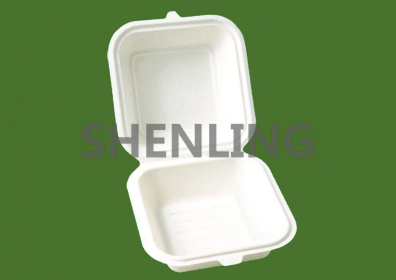 Disposable Food Box