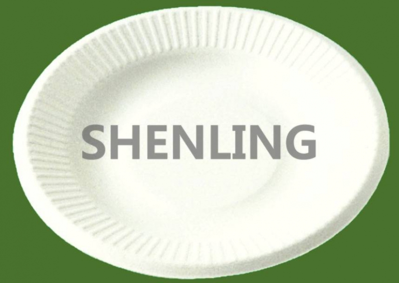 Biodegradble Plate