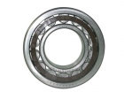 Cylindrical Roller Bearing