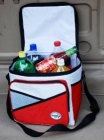 Car cooler bag