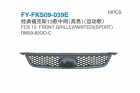 Car Grille