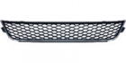 Car Grille