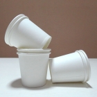 Paper Cup