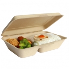 Take away biodegradable food container