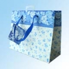 Gift Bag