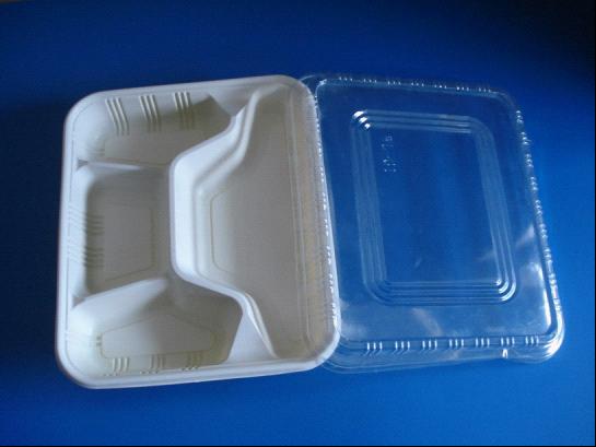 Plastic Tray