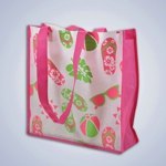 Shopping Bag