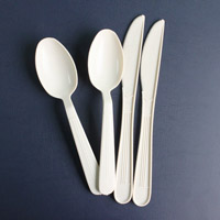 Plastic Cutlery