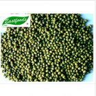 Crop Green Mung Bean