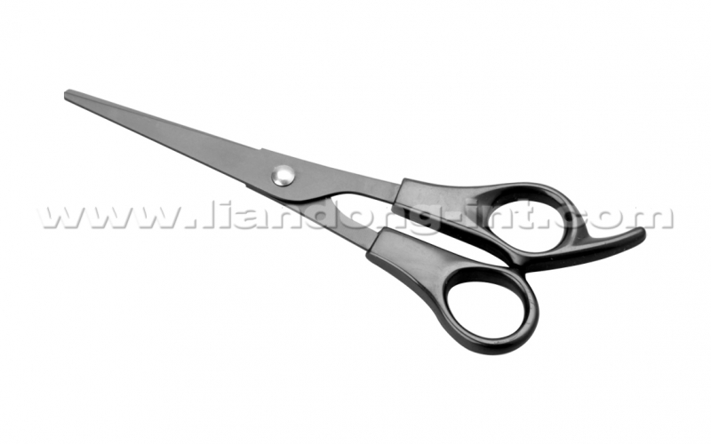 Student Scissor