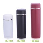 Vacuum Flask