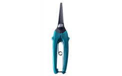 Pruning Shear