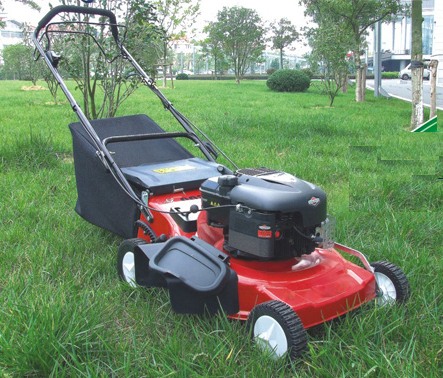 Lawn Mower