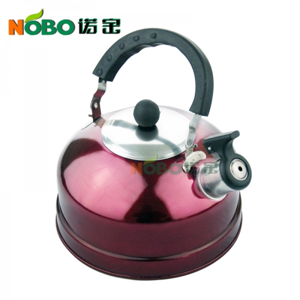 Stainless Steel Kettle