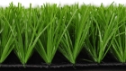 Artificial Turf