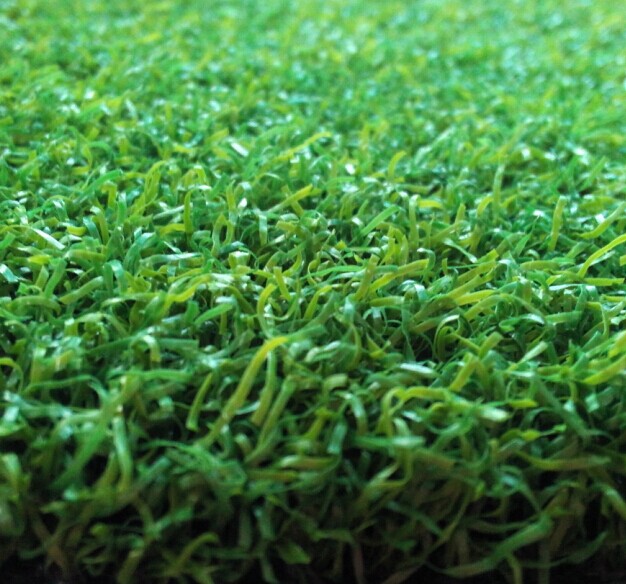 Artificial Turf