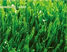 Artificial Turf