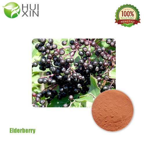 Elderberry Extract