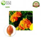 Marigold Extract