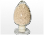 Molecular Sieve