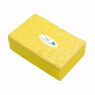 Car Wash Sponge