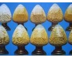 Molecular Sieve