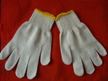 Household Gloves