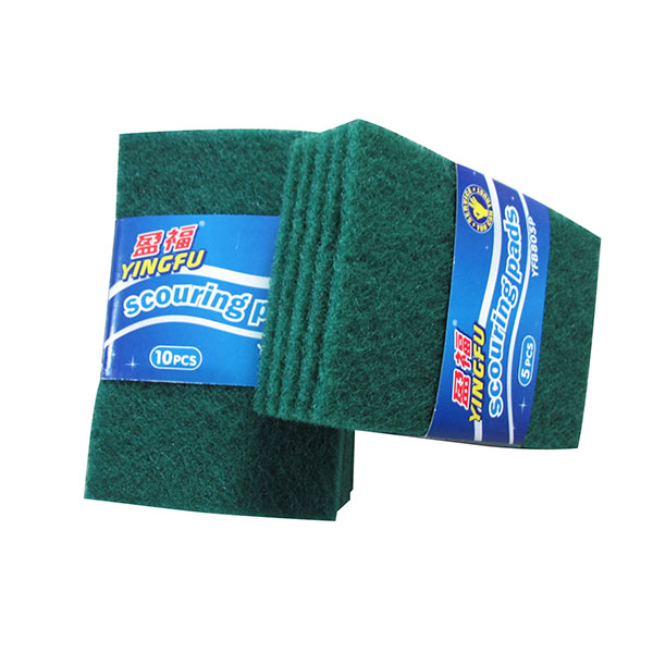 Scouring Pad