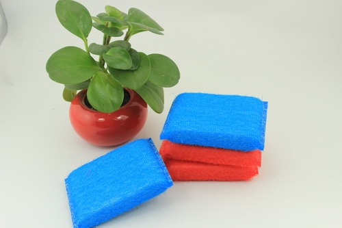 Sponge Scouring Pad