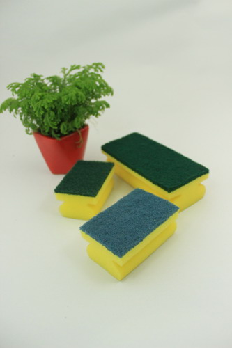 Sponge Scouring Pad