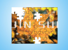 Puzzle (JS-M-023)