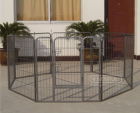 Exercise Pen