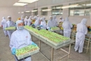 Qingdao Tiandihui Foodstuffs Co., Ltd.