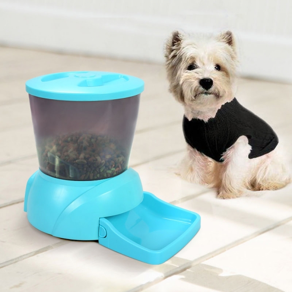 Pet Bowls & Feeders