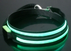 LED Pet Leash