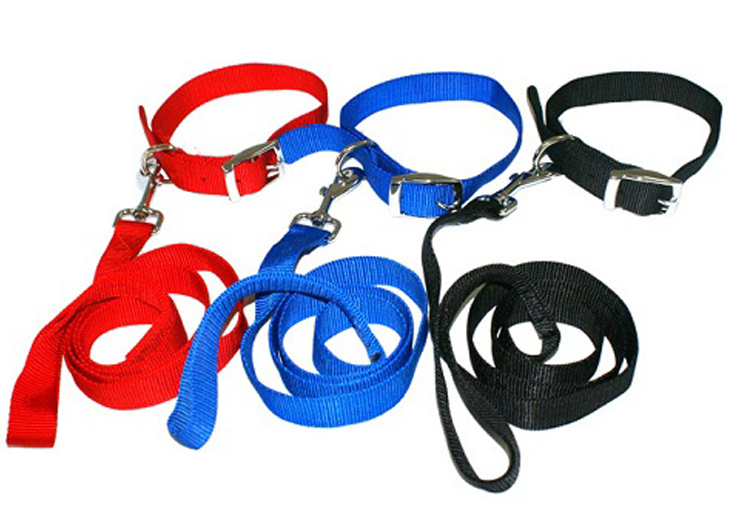 Pet Leash