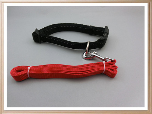 Pet Leash