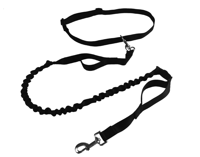 Pet leash