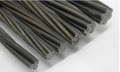 Tianrui Steel Co., Ltd