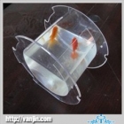 Fish Bowl