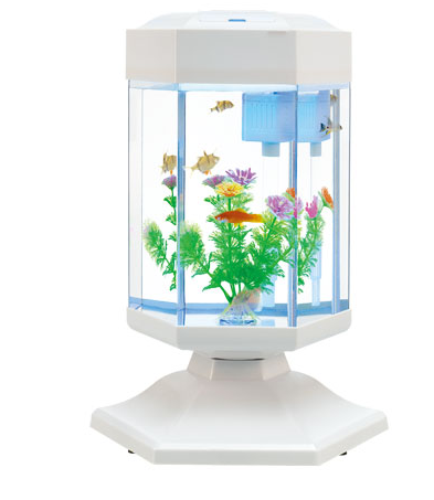 Aquarium Tank